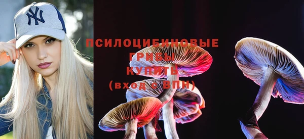 гидропоника Арсеньев