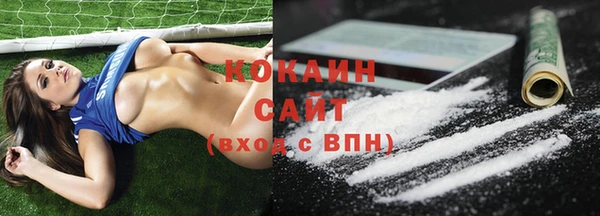 ГАЛЛЮЦИНОГЕННЫЕ ГРИБЫ Ростов