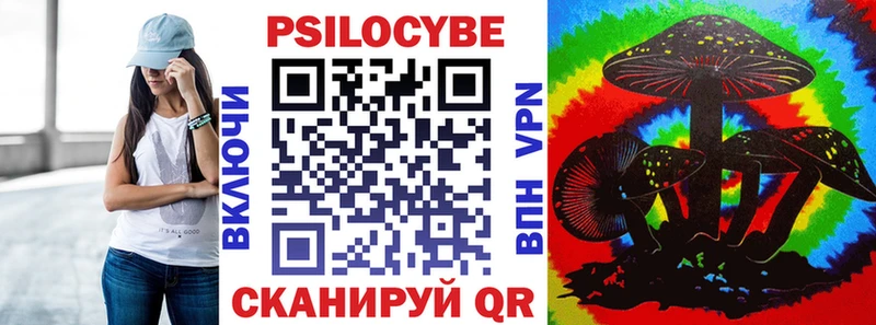 Галлюциногенные грибы Psilocybe  где найти наркотики  Морозовск 